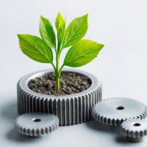 Sustainability & ESG Strategy